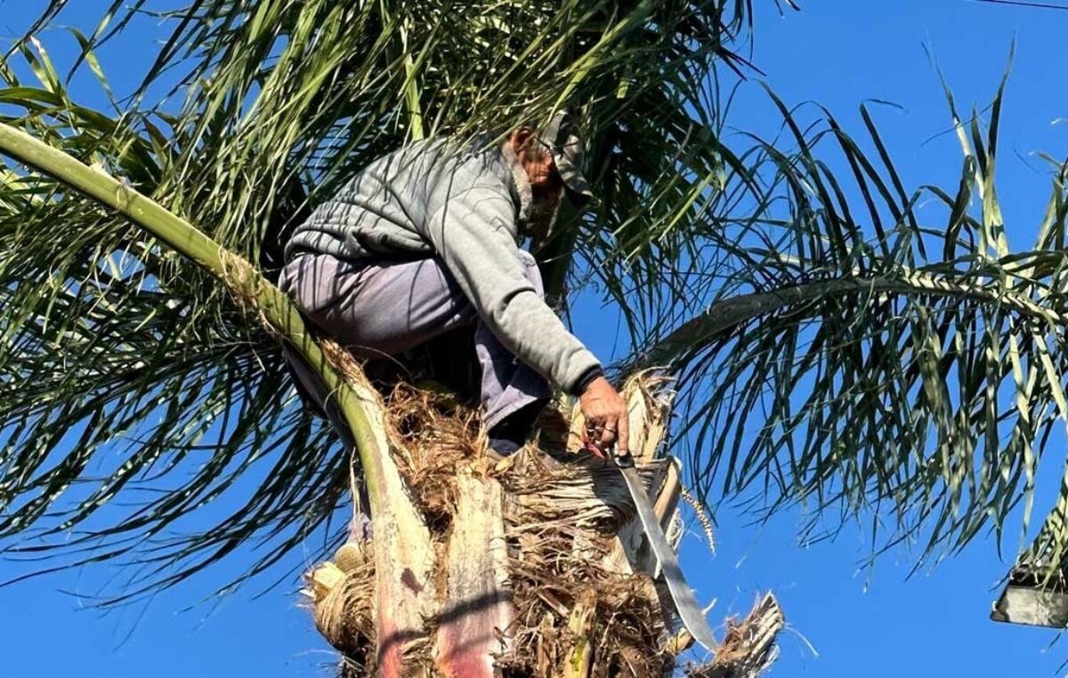 La informalidad laboral del sector privado promedia un 45,4% en el Gran Santa Fe