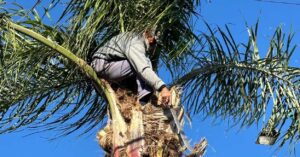 La informalidad laboral del sector privado promedia un 45,4% en el Gran Santa Fe