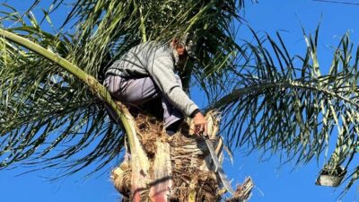 La informalidad laboral del sector privado promedia un 45,4% en el Gran Santa Fe