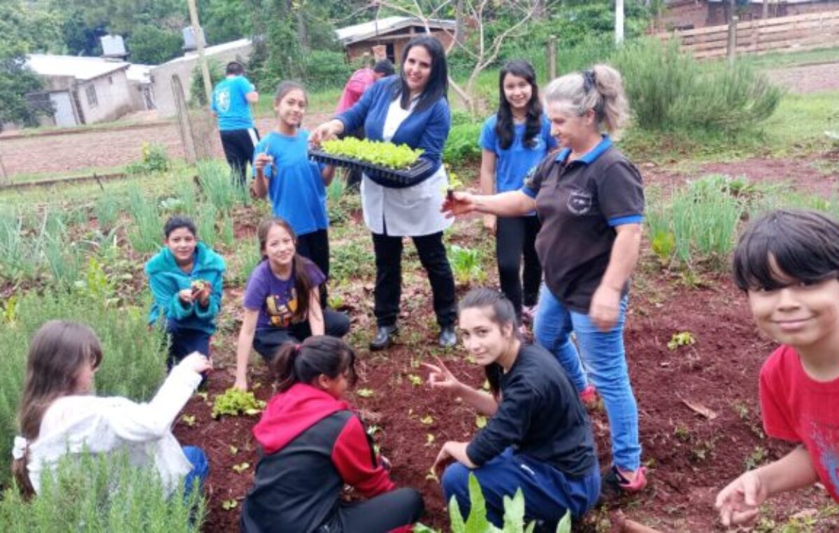 El Programa Huertas Escolares de Eldorado fue declarado de Interés Provincial