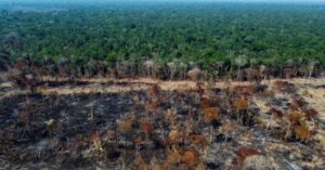 La deforestación en la Amazonía de Brasil cae un 11,08 % en el último año