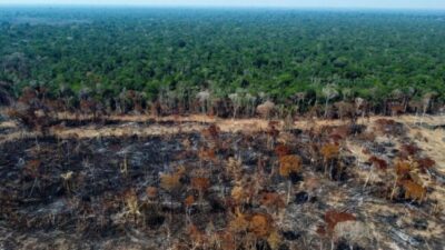 La deforestación en la Amazonía de Brasil cae un 11,08 % en el último año