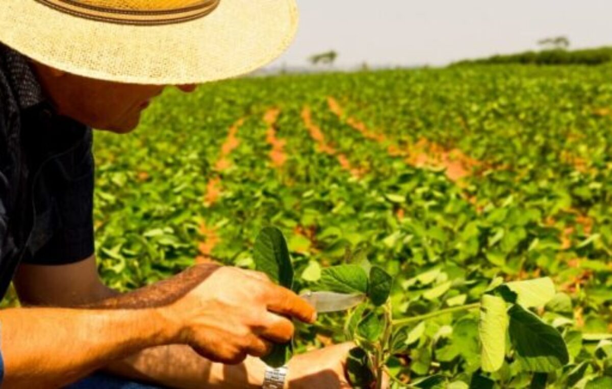 Lula destaca apertura de 500 mercados internacionales para el agronegocio