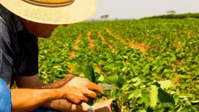 Lula destaca apertura de 500 mercados internacionales para el agronegocio