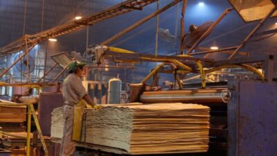 Más empresas con deudas y a media máquina