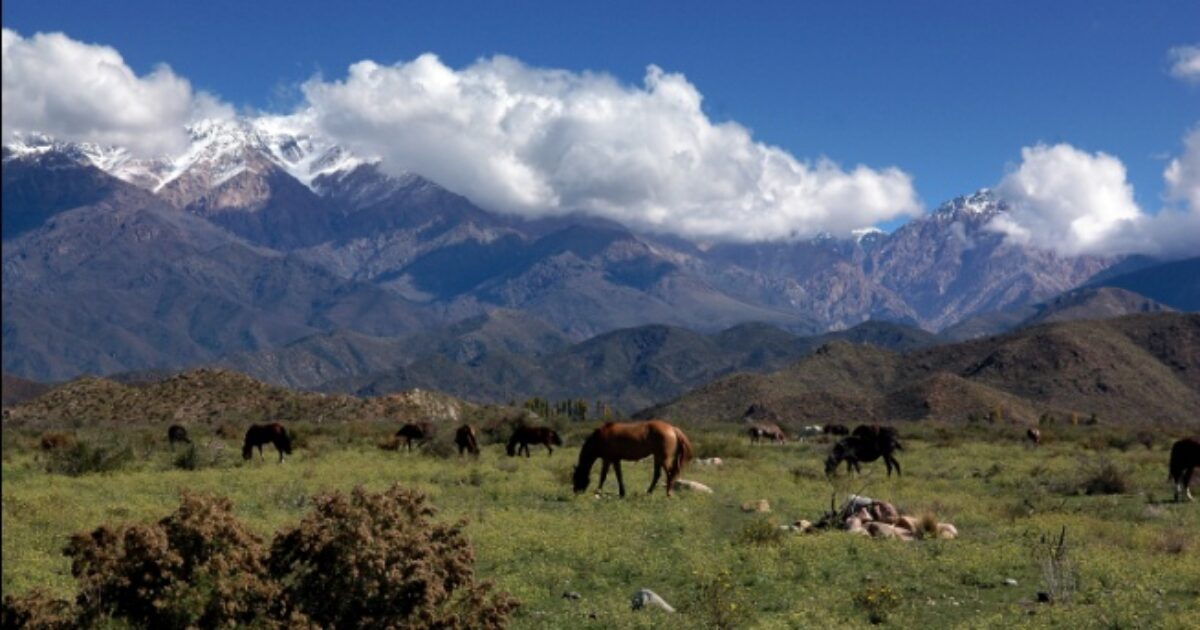 El valle de Mendoza que intriga al turismo energético mundial