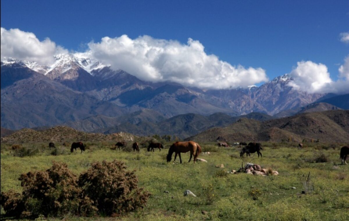 El valle de Mendoza que intriga al turismo energético mundial