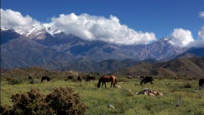 El valle de Mendoza que intriga al turismo energético mundial