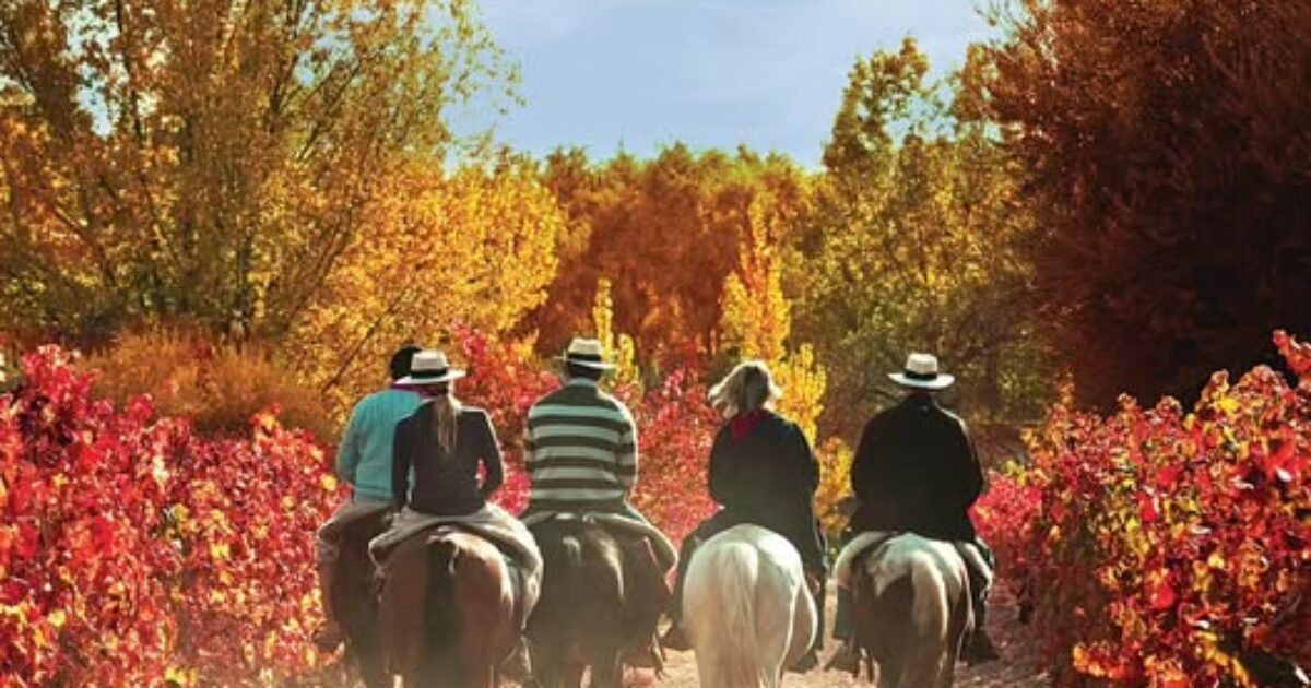 Por qué muchos dicen que el otoño es la estación más hermosa de Mendoza