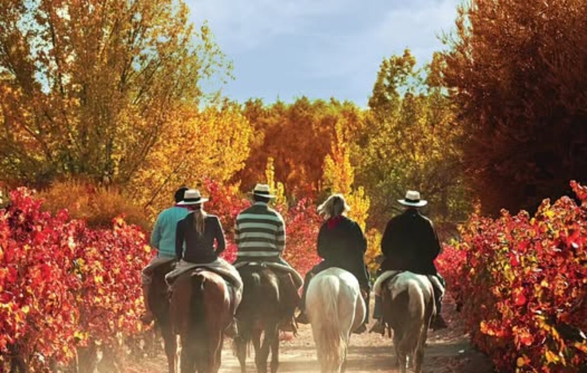 Por qué muchos dicen que el otoño es la estación más hermosa de Mendoza