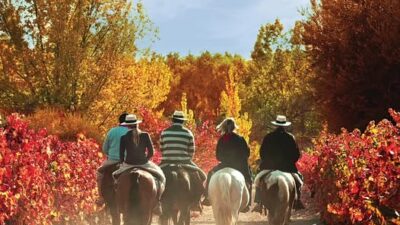 Por qué muchos dicen que el otoño es la estación más hermosa de Mendoza