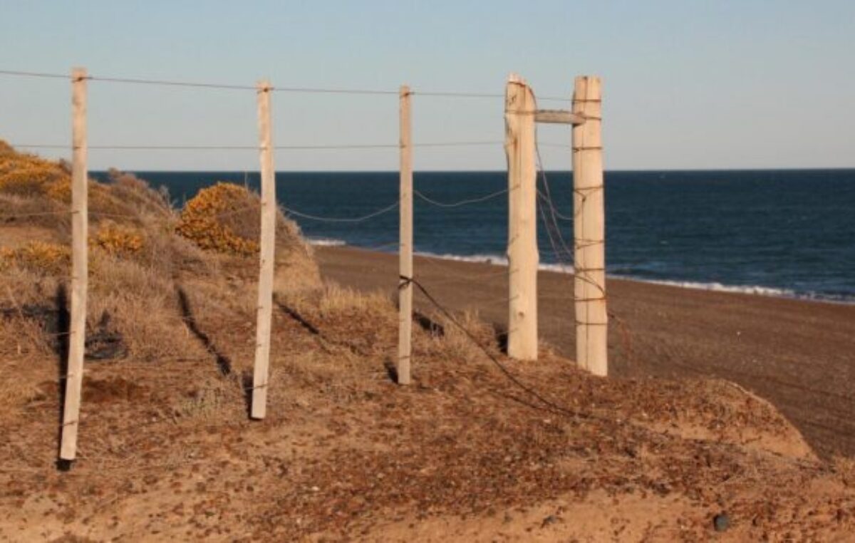 El Gobierno de Milei quiere eliminar restricciones que limitan la compra de tierras por parte de extranjeros