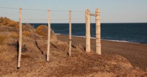 El Gobierno de Milei quiere eliminar restricciones que limitan la compra de tierras por parte de extranjeros