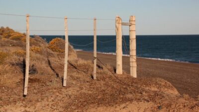 El Gobierno de Milei quiere eliminar restricciones que limitan la compra de tierras por parte de extranjeros