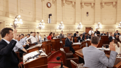 El Senado santafesino dio media sanción a la nueva Ley Orgánica de Municipios y el proyecto pasó a Diputados