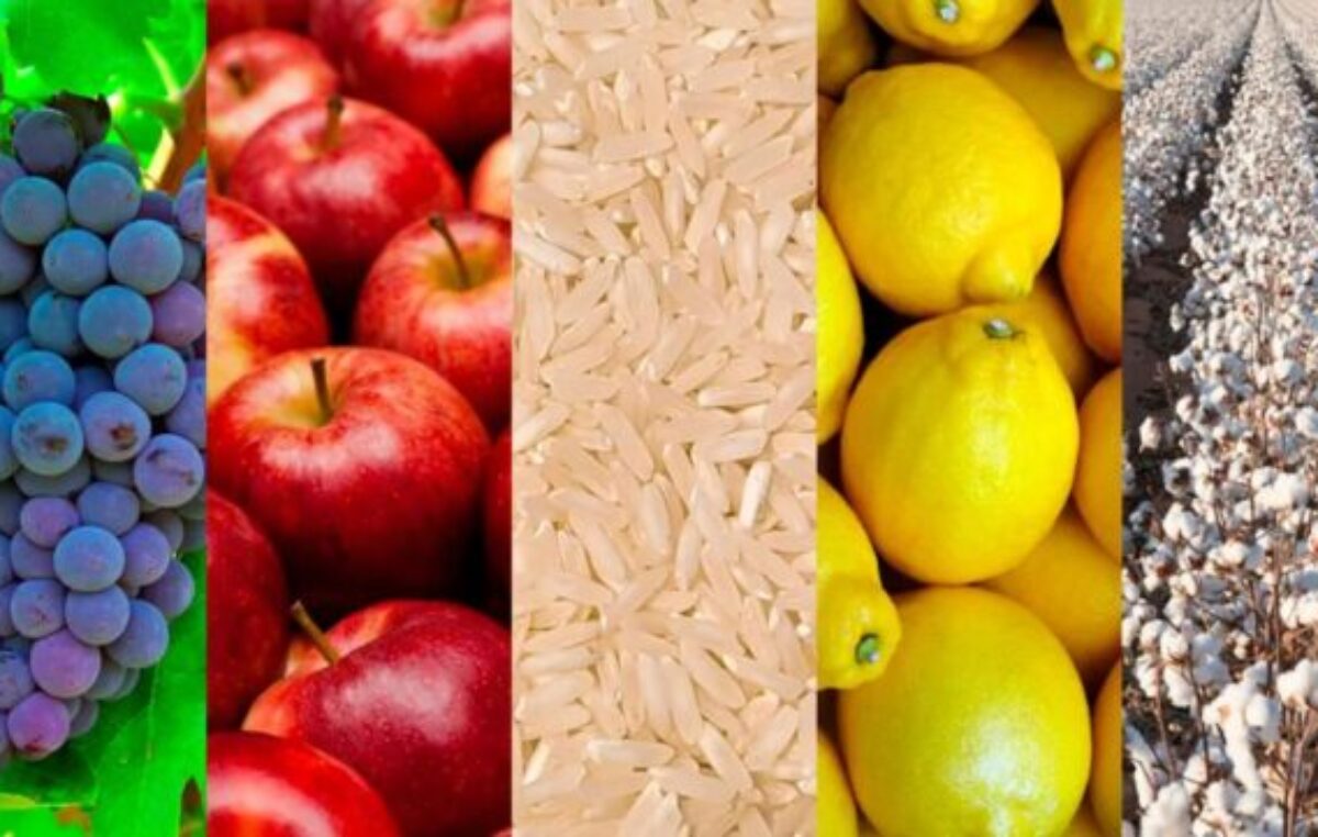 Economías regionales: cierre de 2025 con más actividades en rojo que en verde