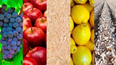 Economías regionales: cierre de 2025 con más actividades en rojo que en verde