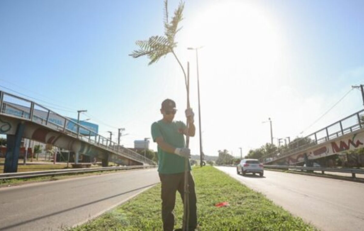 50 Años. Nunca Más: Con el programa “Córdoba Respira Memoria” la Municipalidad recuerda a los desaparecidos