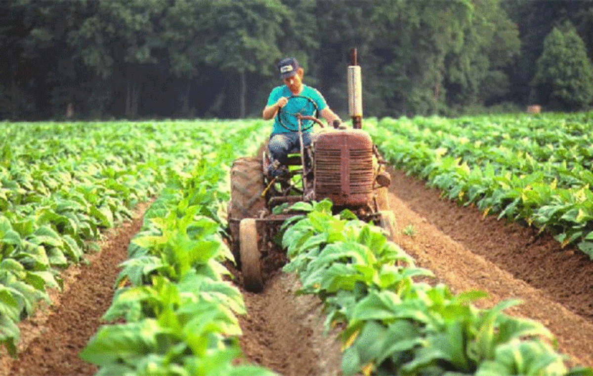 Economías regionales de mal en peor: el semáforo rojo de Coninagro suma más distritos
