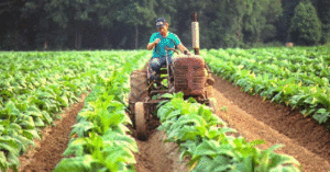Economías regionales de mal en peor: el semáforo rojo de Coninagro suma más distritos