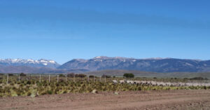 Milei busca modificar la ley para que extranjeros puedan comprar más de 1.000 hectáreas