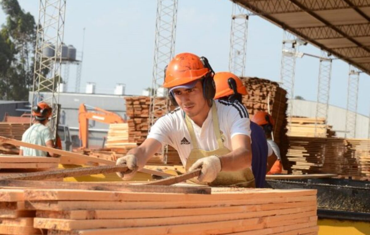 Consultor forestoindustrial advierte que el sector atraviesa su peor crisis en tres décadas: “Un 70% es responsabilidad del actual modelo económico en Argentina”