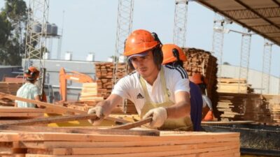 Consultor forestoindustrial advierte que el sector atraviesa su peor crisis en tres décadas: “Un 70% es responsabilidad del actual modelo económico en Argentina”